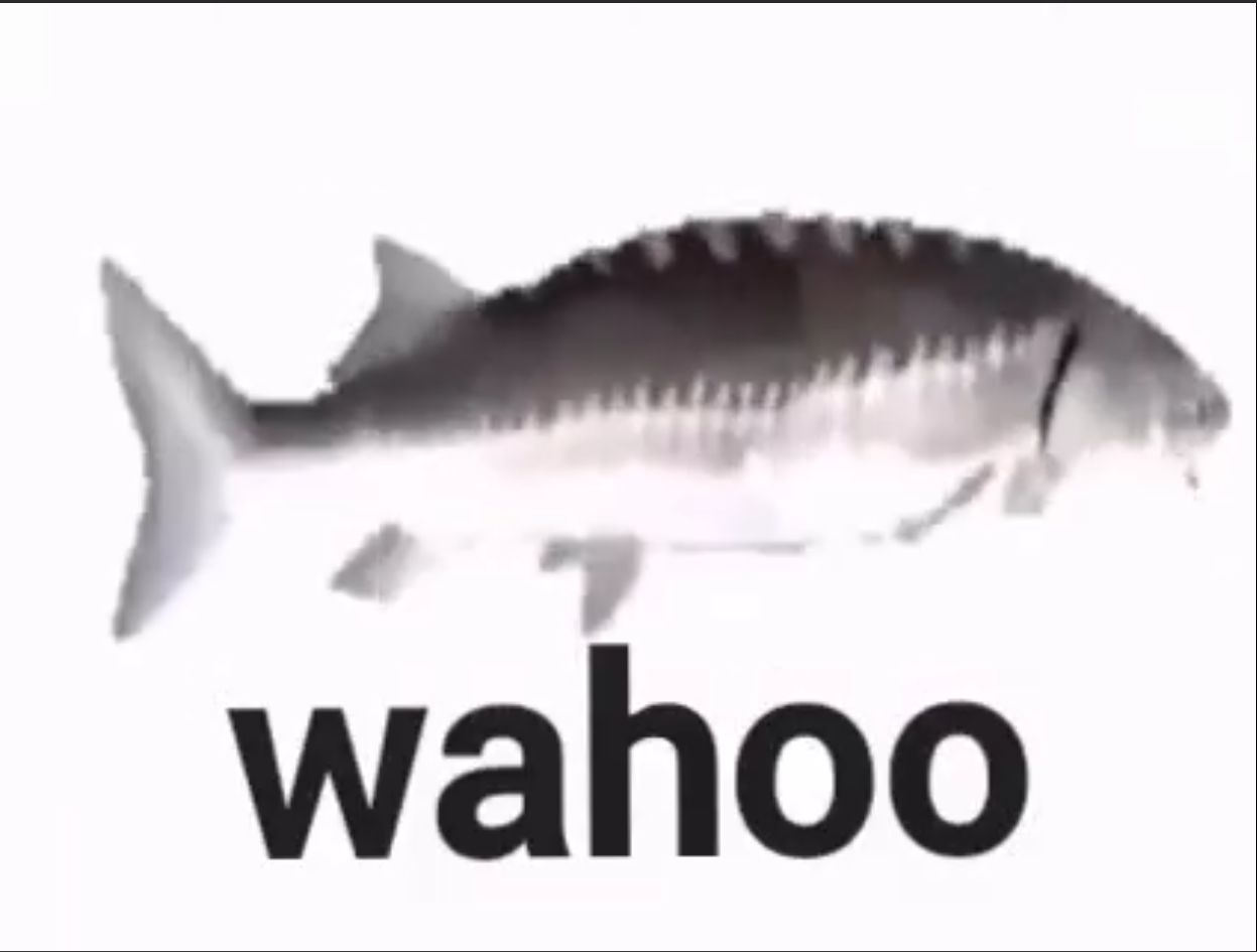 spin